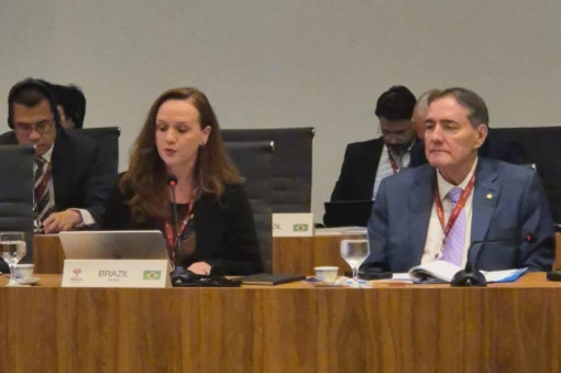 Pesquisadora da ENSP coordena Rede de Pesquisa em Saúde Pública e Sistemas de Saúde dos Brics